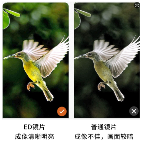艾斯基1.png 艾斯基1.png