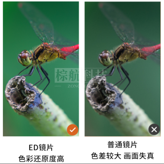 艾斯基34.png 艾斯基34.png