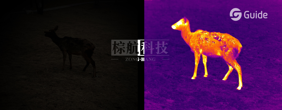 高德41.png