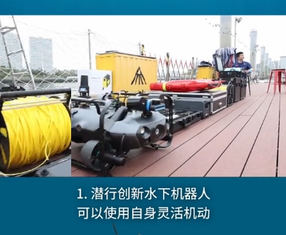 灵活激动.png