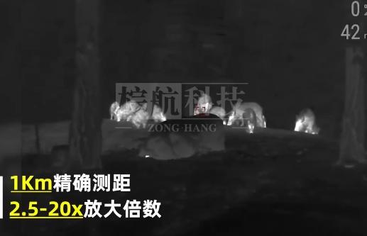 放大倍数.png