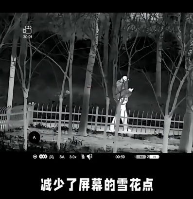 雪花点.png