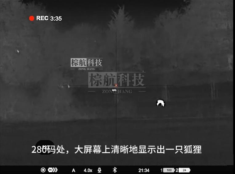280吗狐狸.png