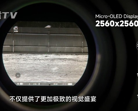 远目.png