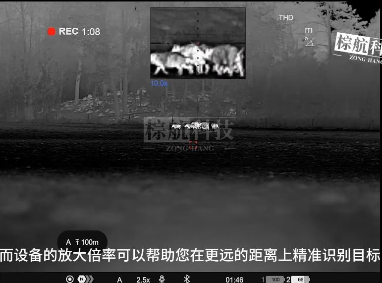 精准.png