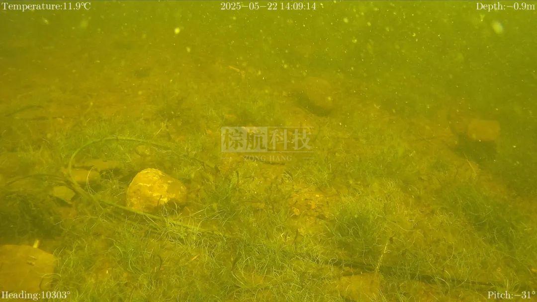 锈迹斑斑的电缆。.jpg