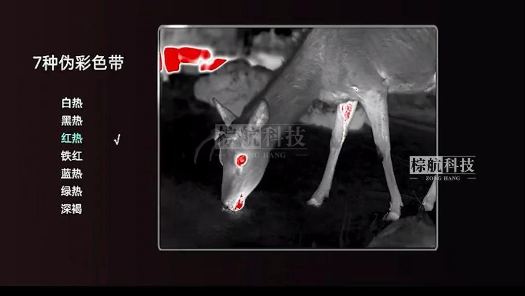 红.jpg