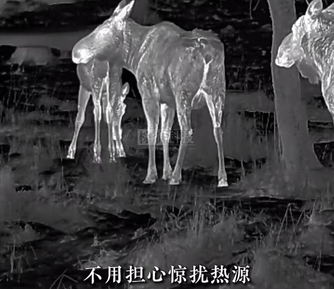 不必担心惊扰热元1.jpg
